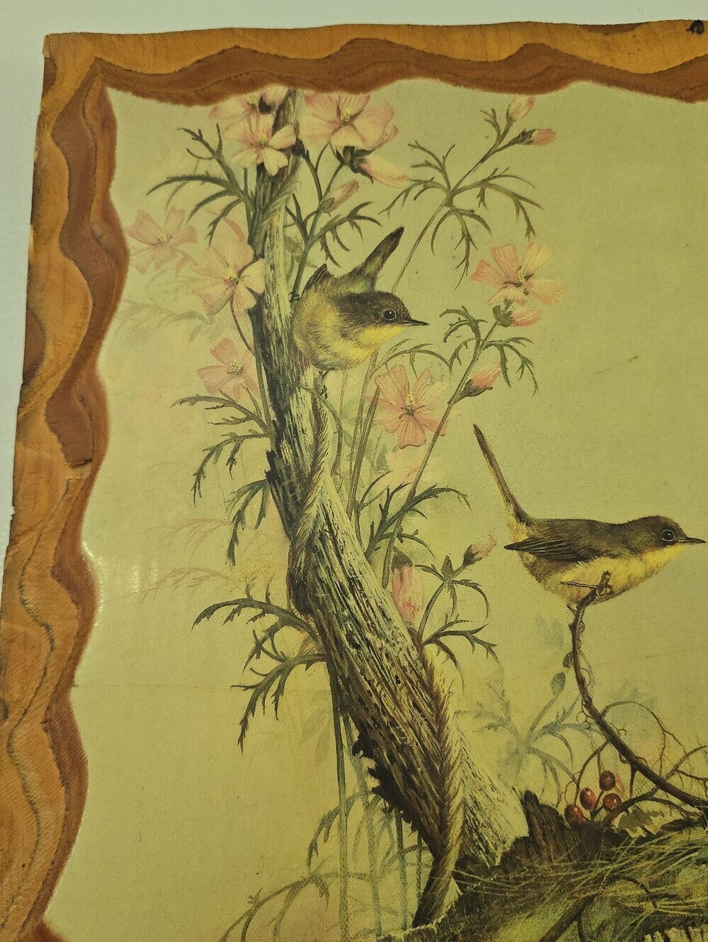 Vintage Woodland Songster print by Ruane Manning Art Birds Rustic Wood Decor Mcm - Picture 7 of 13